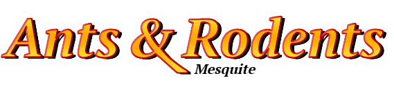 Mesquite Ant Exterminator & Rodent Control Company Logo